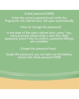 Tirelire - Funny Duck