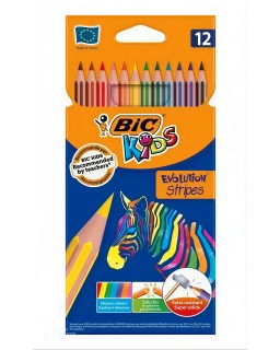 CRAYON COUL 12/18 EVOLUTION STRIPES BIC