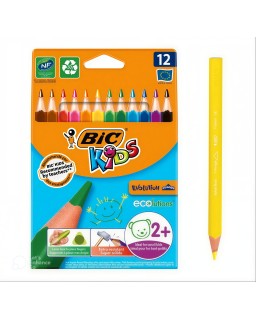 CRAYON COUL DE 12 JUMBO EVOLUTION TRIANGLE BIC