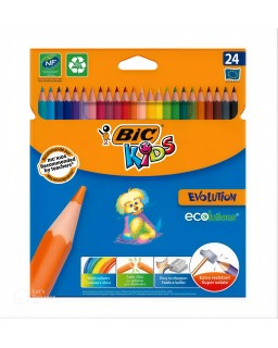 CRAYON COUL 24/18 EVOLUTION BIC