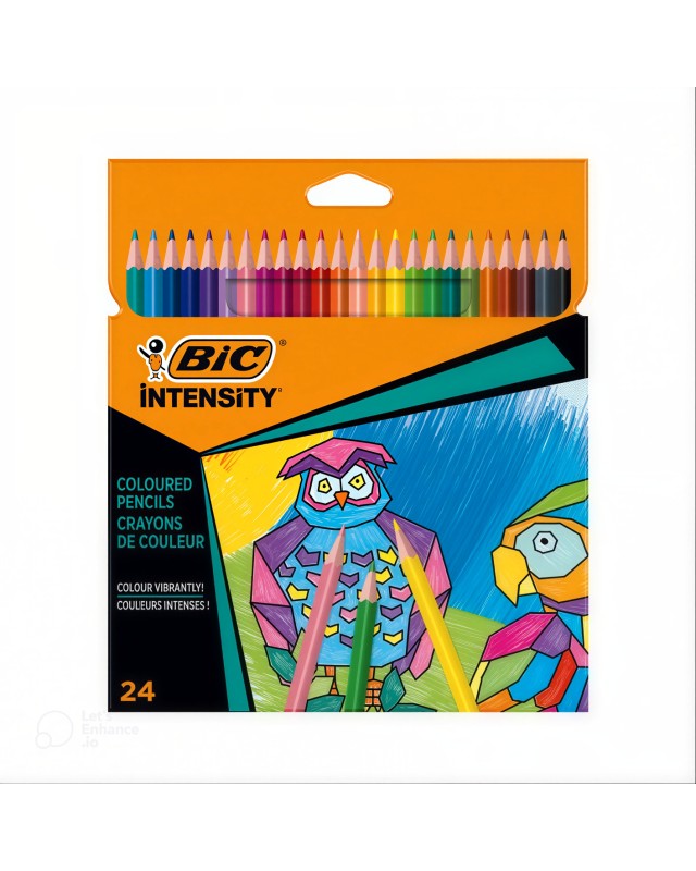 POCH DE 24 CRAYON COUL INTENSITY BIC