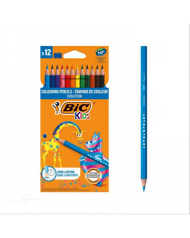 CRAYON COUL 12/18 EVOLUTION BIC