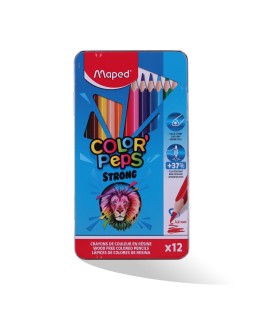 CRAYON COUL 12/18 B.METAL STRONG MAPED