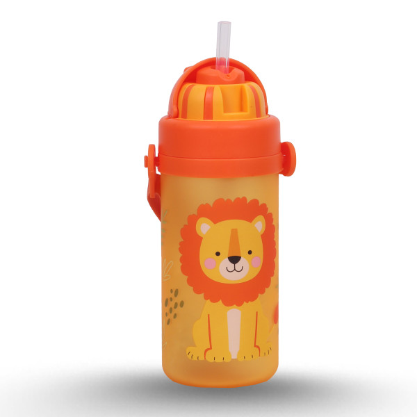 Bouteille d'eau 430ml - Must Team - Lion