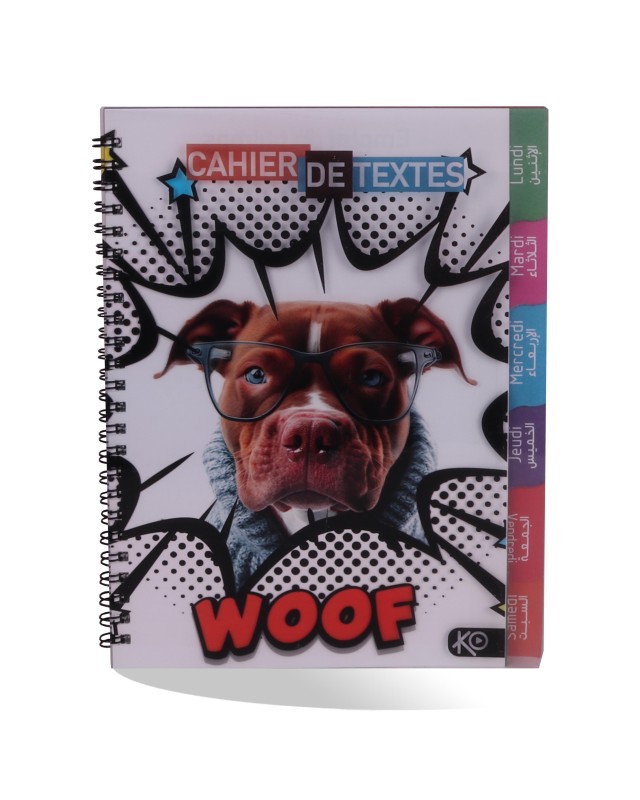 CAHIER DE TEXTE FANTISIE CP KO