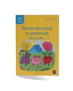 REUSSIR SON ENTREE EN GRAMMAIRE CE1