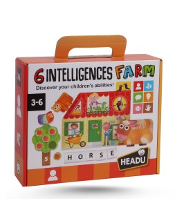 6 INTELLIGENCES FARM 3-6 HEADU