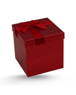 COFFRET CADEAU CARRE POINTI METALISE T4