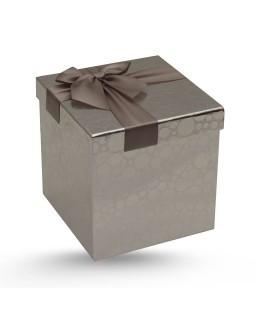 COFFRET CADEAU CARRE POINTI METALISE T3