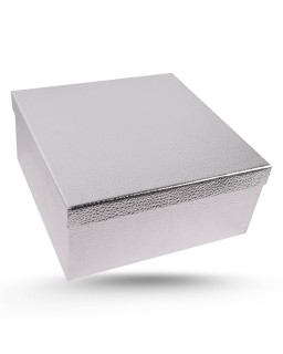 COFFRET CADEAU CARRE CROCO METALISE T1