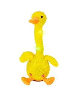 CACTUS CANARD MUSICALE