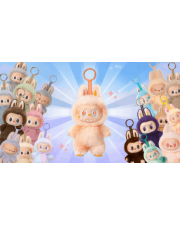 COFFRET LABUBU SIMPLE