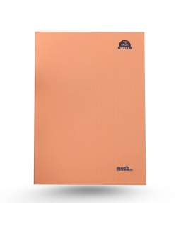 PIQURE SEYES 96P A4 CP MUST